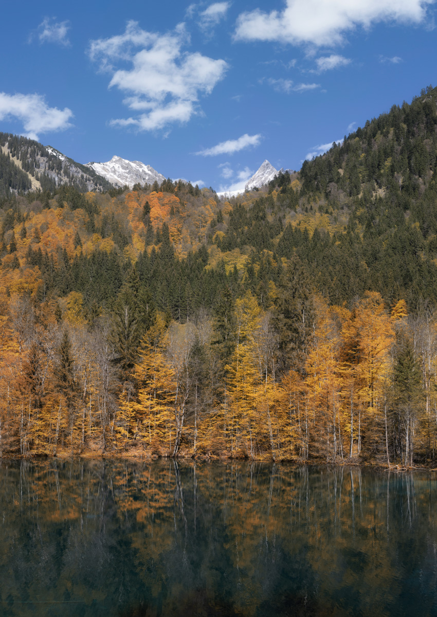 Herbst am Christlesee bei Oberstdorf, Goldene Lärchen mit Spiegelung und Höfats-Blick, Indian Summer - Oberallgäu