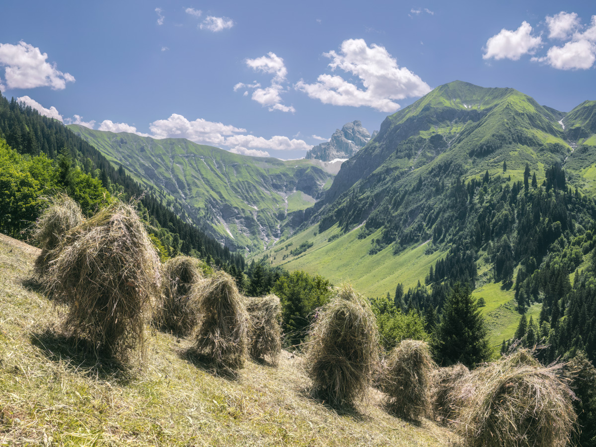 Oberstdorf, Heumahd im Traufbachtal mit Fürschießer, Traditionelle Berglandwirtschaft - Landschaftsfotografie Allgäu