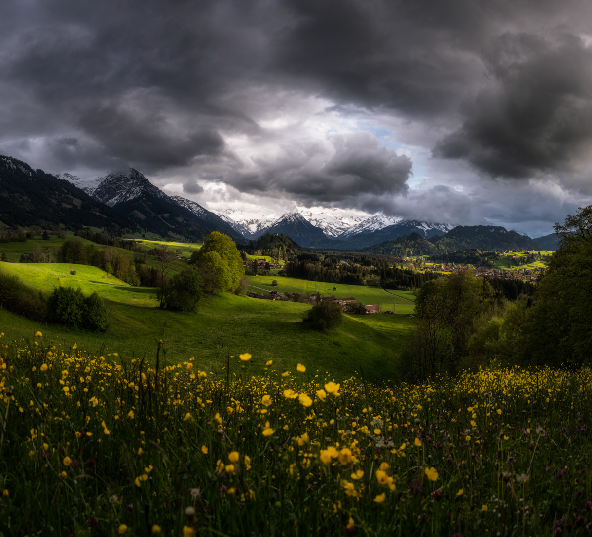 Malerwinkel Altstädten, Frühlingslandschaft mit Butterblumen unter Gewitterhimmel, Dramatisches Allgäu-Panorama