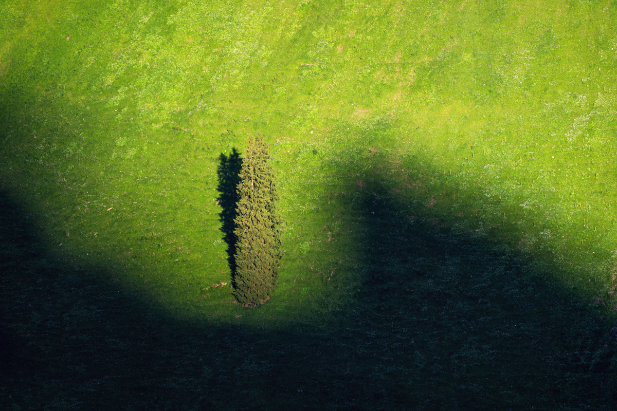 Oberstdorf, Einsamer Baum auf sattgrüner Bergwiese aus der Vogelperspektive, Minimalistisches Licht-Schatten-Spiel im Sommer