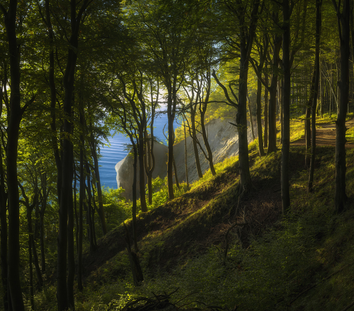 Rügen, Kreidefelsen durch Buchenwald, Ernst-Moritz-Arndt-Sicht - Landschaftsfotografie Jasmund