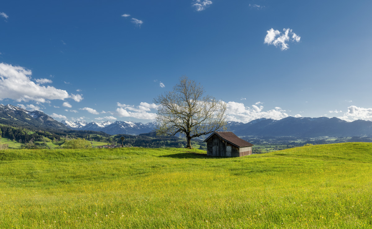 Imberg bei Sonthofen, Heustadel und Baum auf grüner Frühlingswiese, Panoramablick Tiefenbach - Oberallgäu