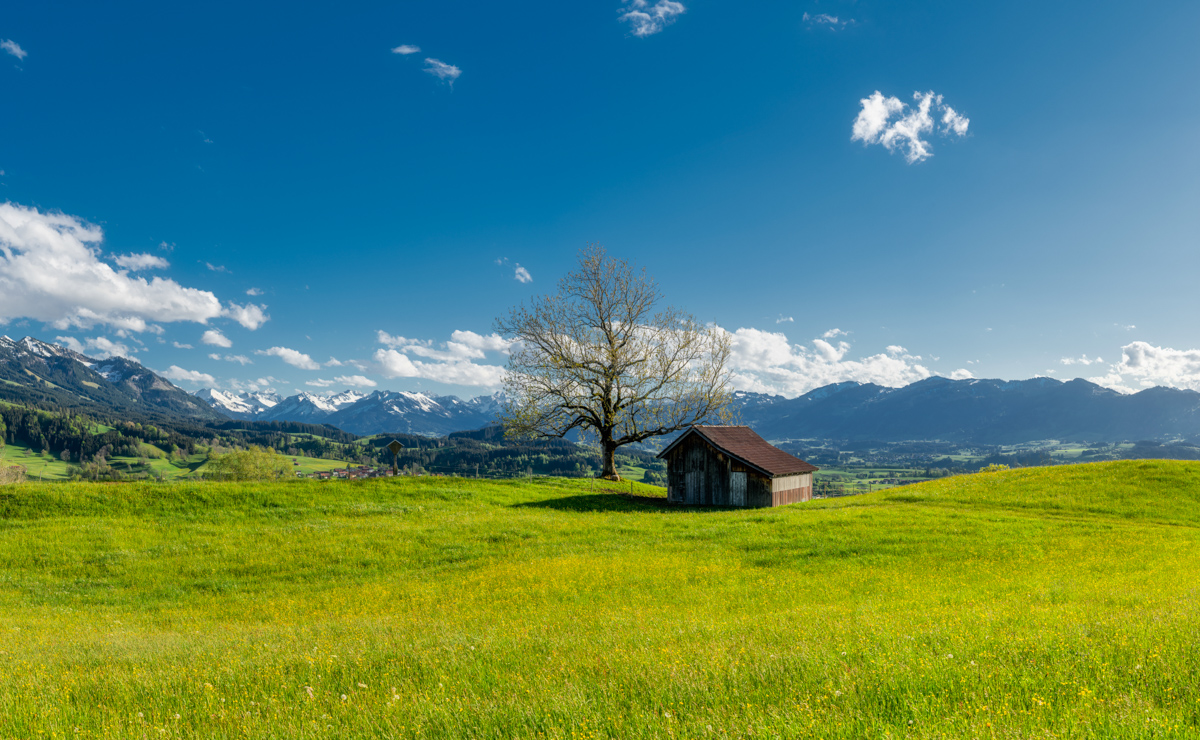 Tiefenbach, Heustadel auf Frühlingswiese am Imberg, Weiter Alpenblick - Landschaftsfotografie Oberallgäu