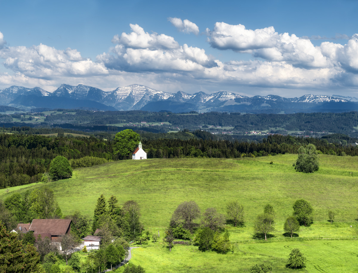 Westallgäu mit Kapelle und Hochgrat, Grüne Hügellandschaft vor Alpenpanorama im Frühling, Idylle Westallgäu - Allgäu