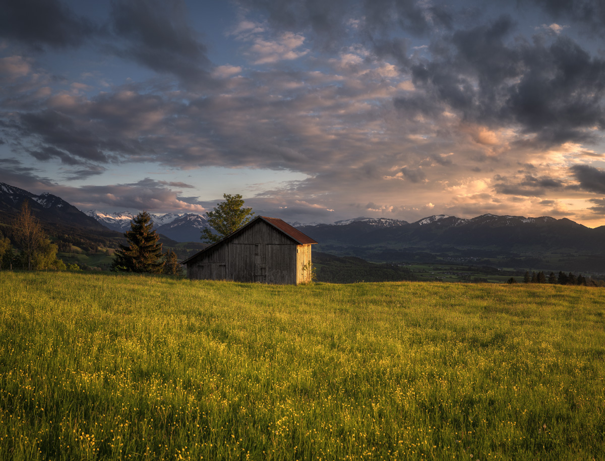 Heustadel bei Bad Hindelang, Blumenwiese im dramatischen Abendlicht vor Bergkulisse, Sommerabend Allgäu - Oberallgäu
