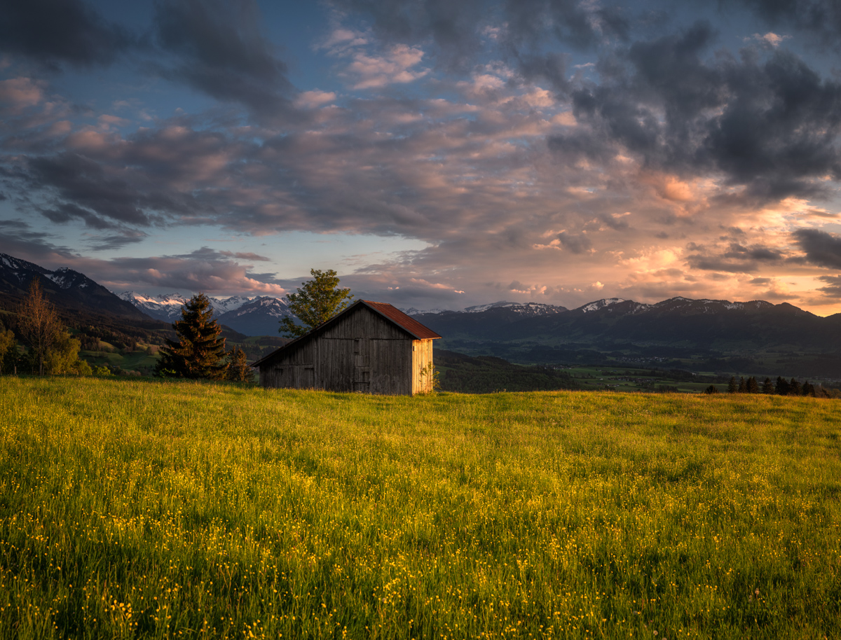 Hindelang, Heustadel im Abendlicht, Blumenwiese vor Bergkulisse - Landschaftsfotografie Oberallgäu