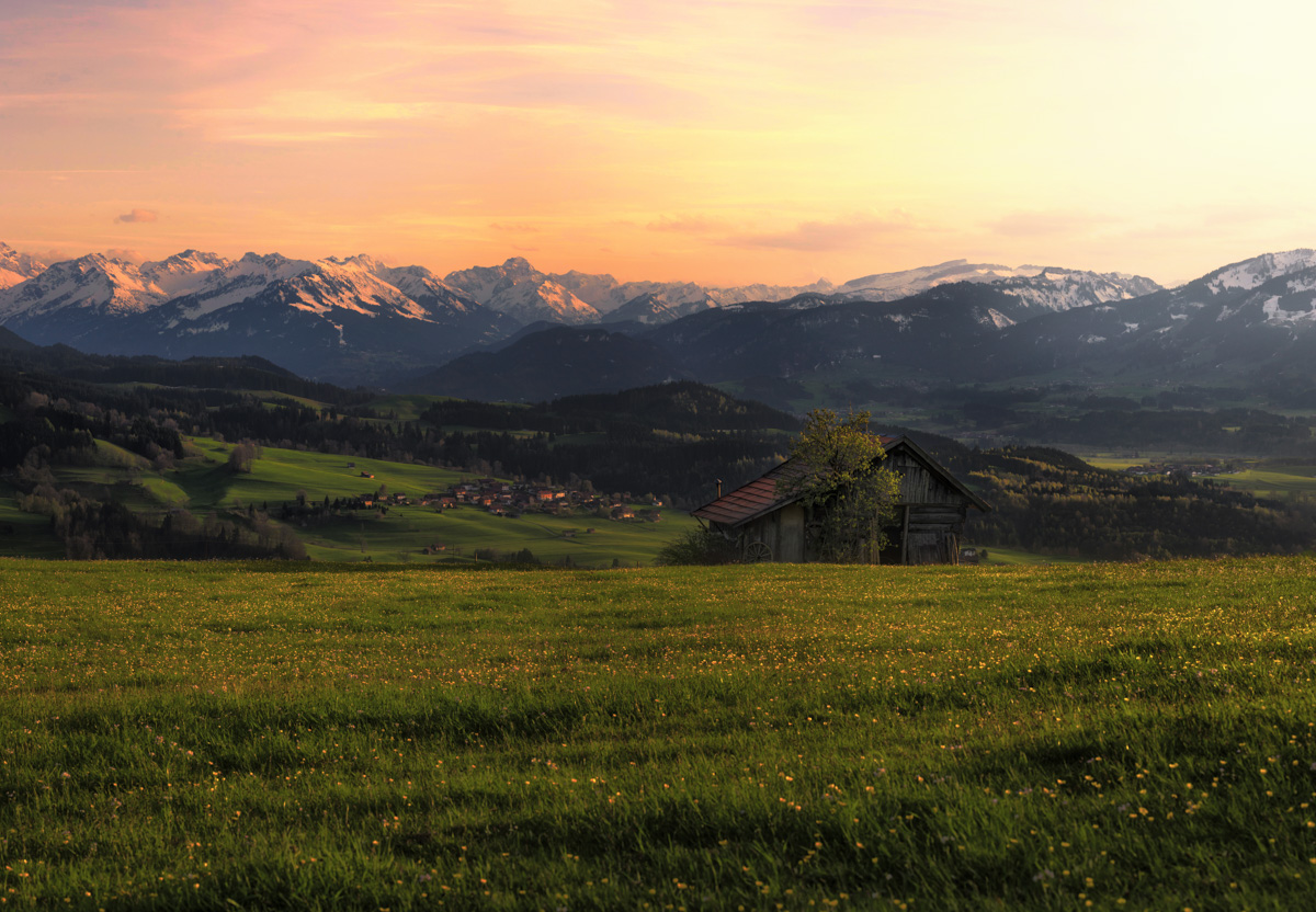 Hindelanger Bergblick bei Sonnenuntergang, Heustadel auf Blumenwiese vor Alpenkette, Sommerabend Allgäu - Oberallgäu