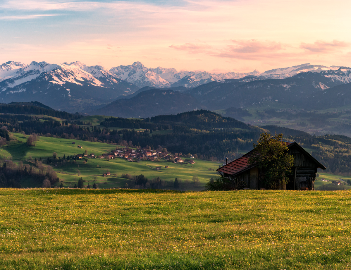Hindelang, Alpenpanorama im Abendlicht, Holzhütte auf Blumenwiese - Landschaftsfotografie Oberallgäu