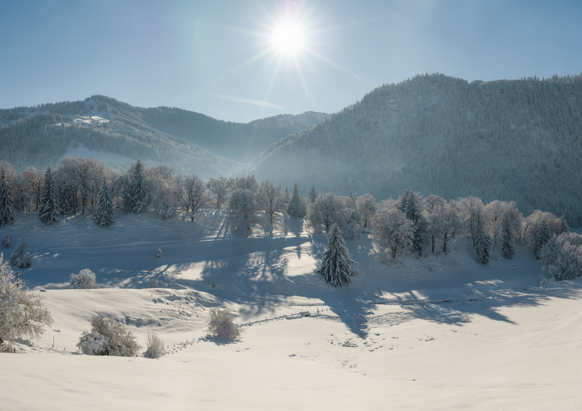 Immenstadt, Winterlandschaft mit Sonnenstern, Verschneite Allgäuer Berge - Landschaftsfotografie Oberallgäu
