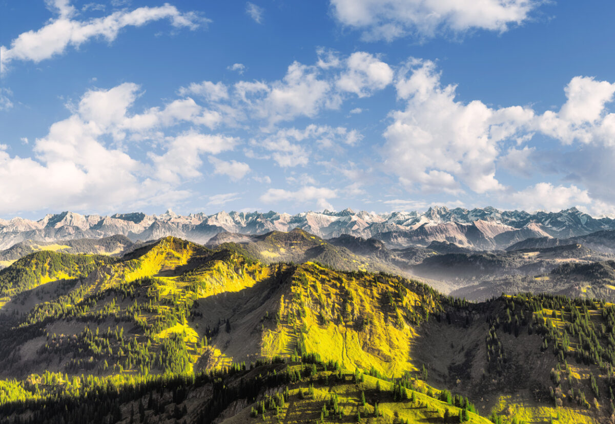 Oberstaufen, Hochgrat-Panorama, Nagelfluhkette im Sommerlicht - Landschaftsfotografie Allgäu