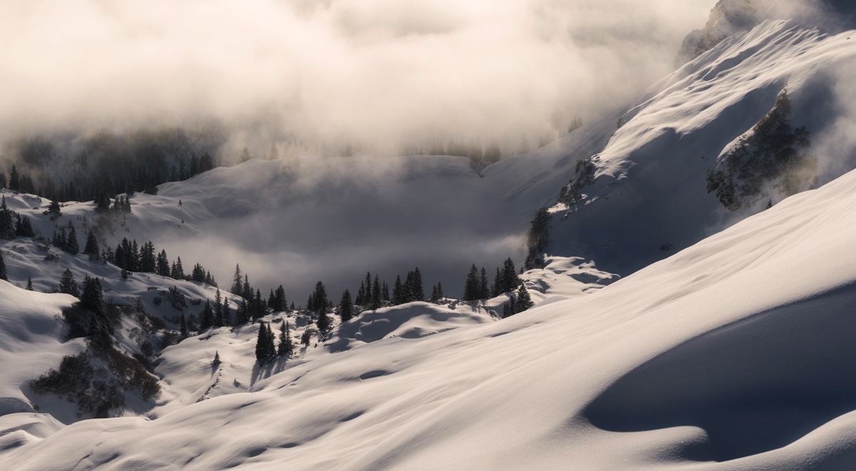 Seealpsee Nebelhorn Tiefschnee mit Nebelschwaden, Verschneite Berglandschaft mit Tannen im warmen Winterlicht, Stille