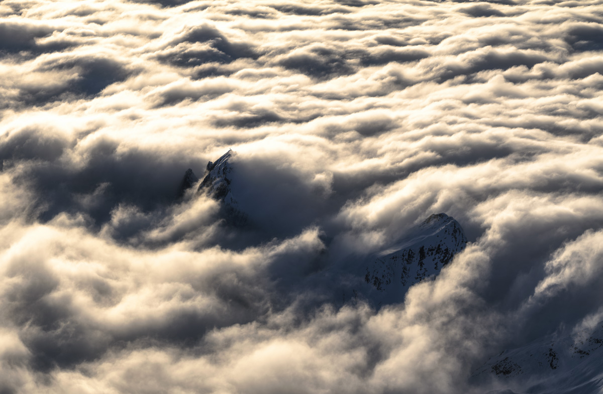 Kurfürsten Nebelmeer, Bergspitzen im goldenen Alpenglühen, Schweizer Alpen