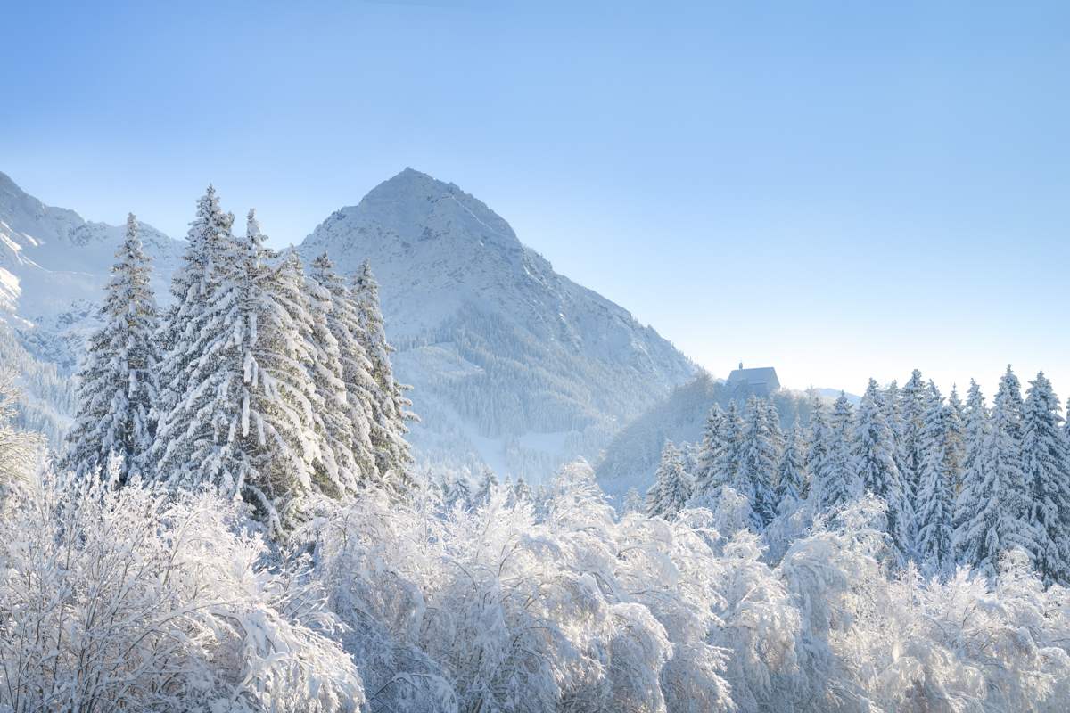 Schöllanger Burg im Winterkleid, Verschneite Bäume und Bergpanorama bei Fischen, Winterzauber im Allgäu
