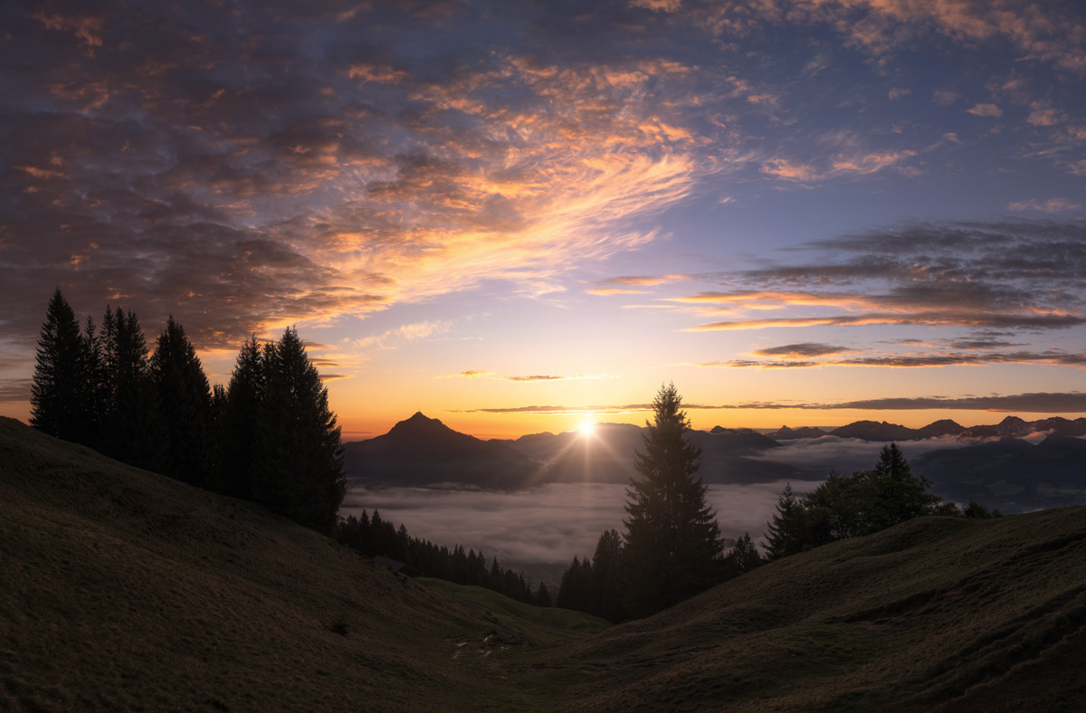 Sonnenaufgang über dem Nebelmeer am Grünten, Goldener Sonnenstern und Baumsilhouetten, Morgenzauber Allgäu