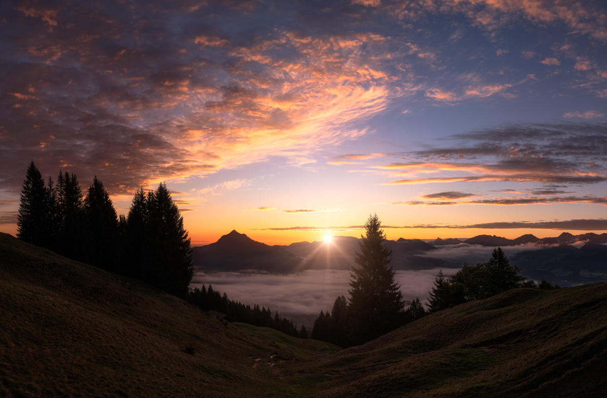 Grünten, Sonnenaufgang über dem Nebelmeer, Tannensilhouetten im Morgenrot - Landschaftsfotografie Oberallgäu