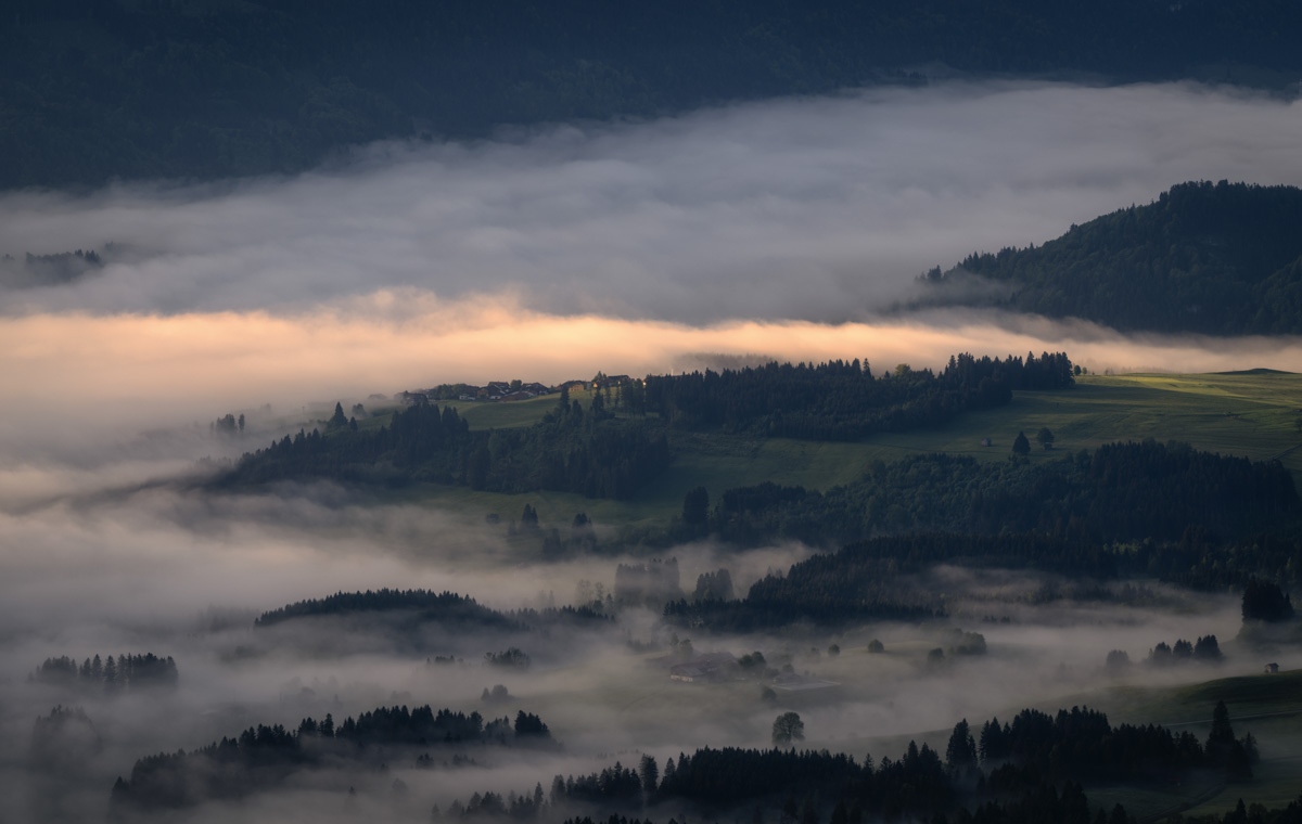Nebelmeer bei Ofterschwang im Morgenlicht, Bauminseln über den Wolken, Sonnenaufgang Oberallgäu