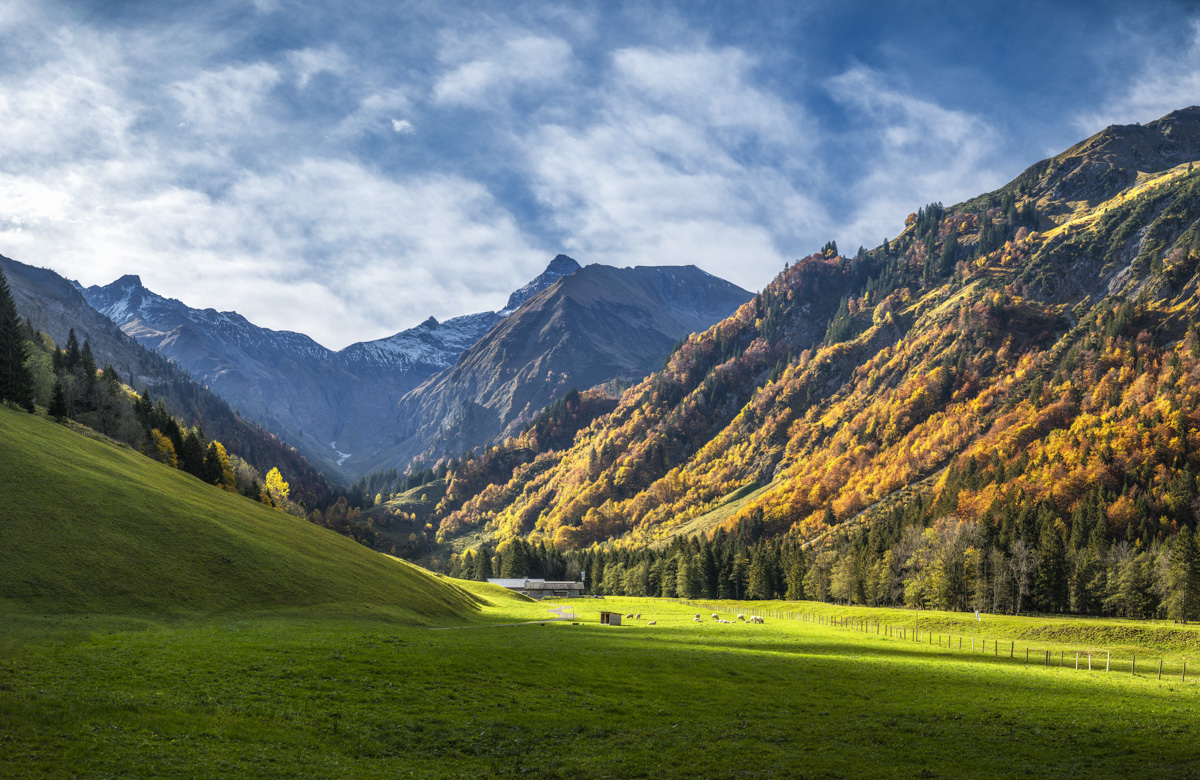 Spielmannsau im goldenen Herbstlicht, Trettachspitze und Herbstwald bei Sonnenaufgang, Oberstdorf Allgäu