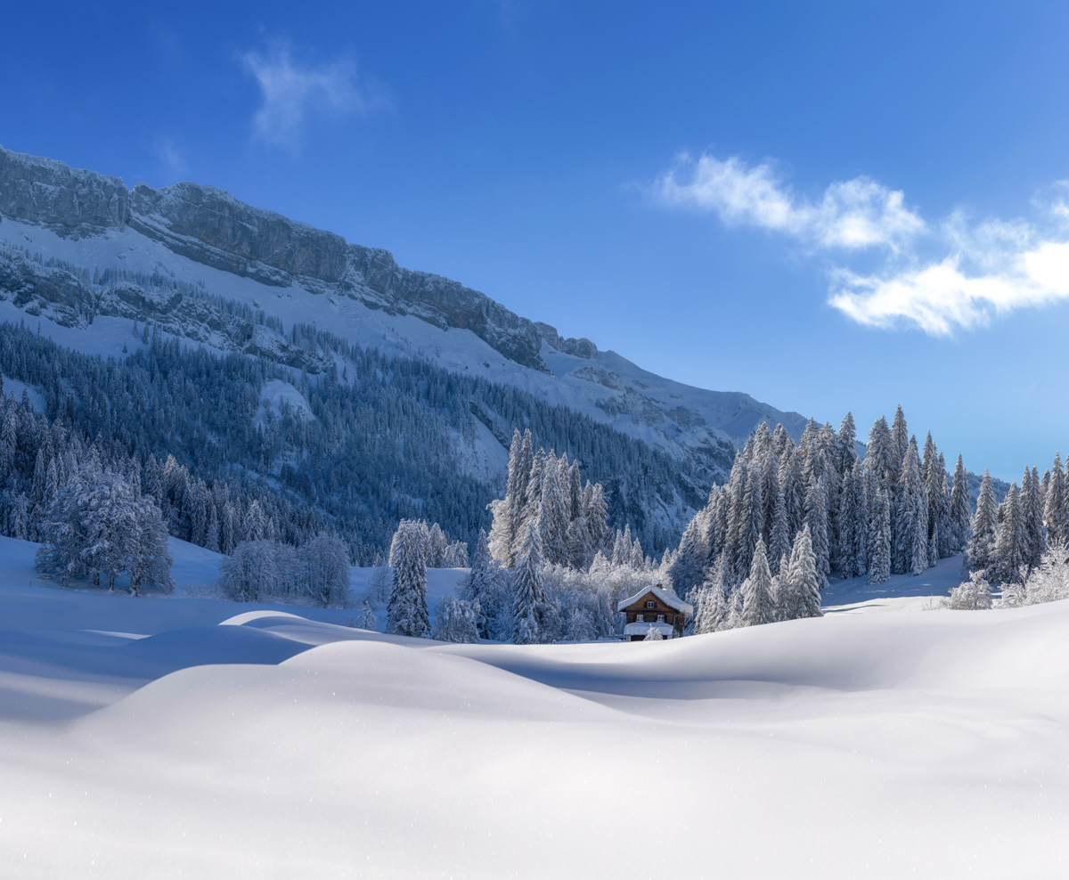 Winteridylle bei Rohrmoos und Tiefenbach, Verschneite Hütte zwischen Tannen unter blauem Himmel, Oberstdorf Allgäu