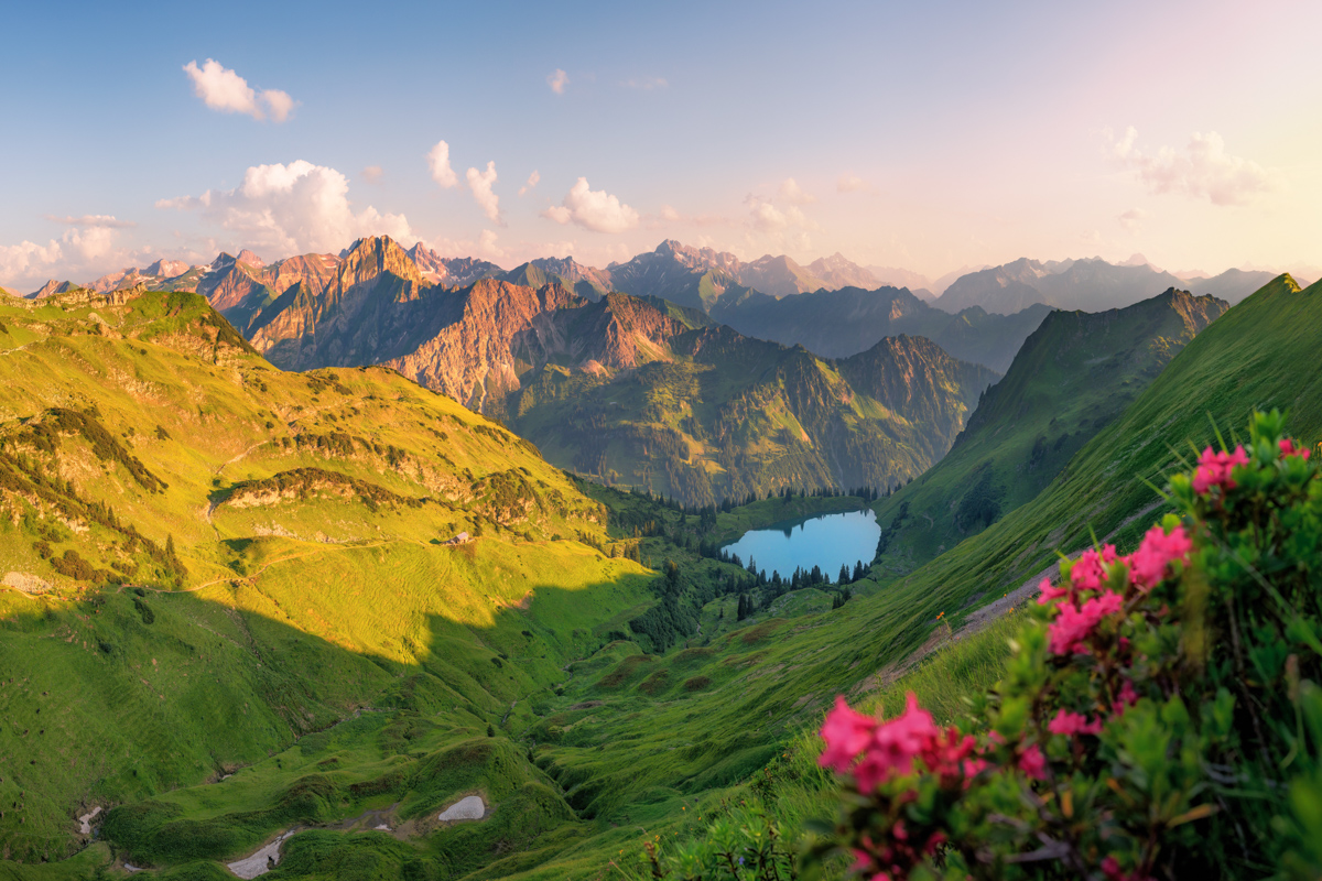 Seealpsee, Alpenrosen über dem Oytal, Sonnenuntergang an der Höfats - Landschaftsfotografie Oberallgäu