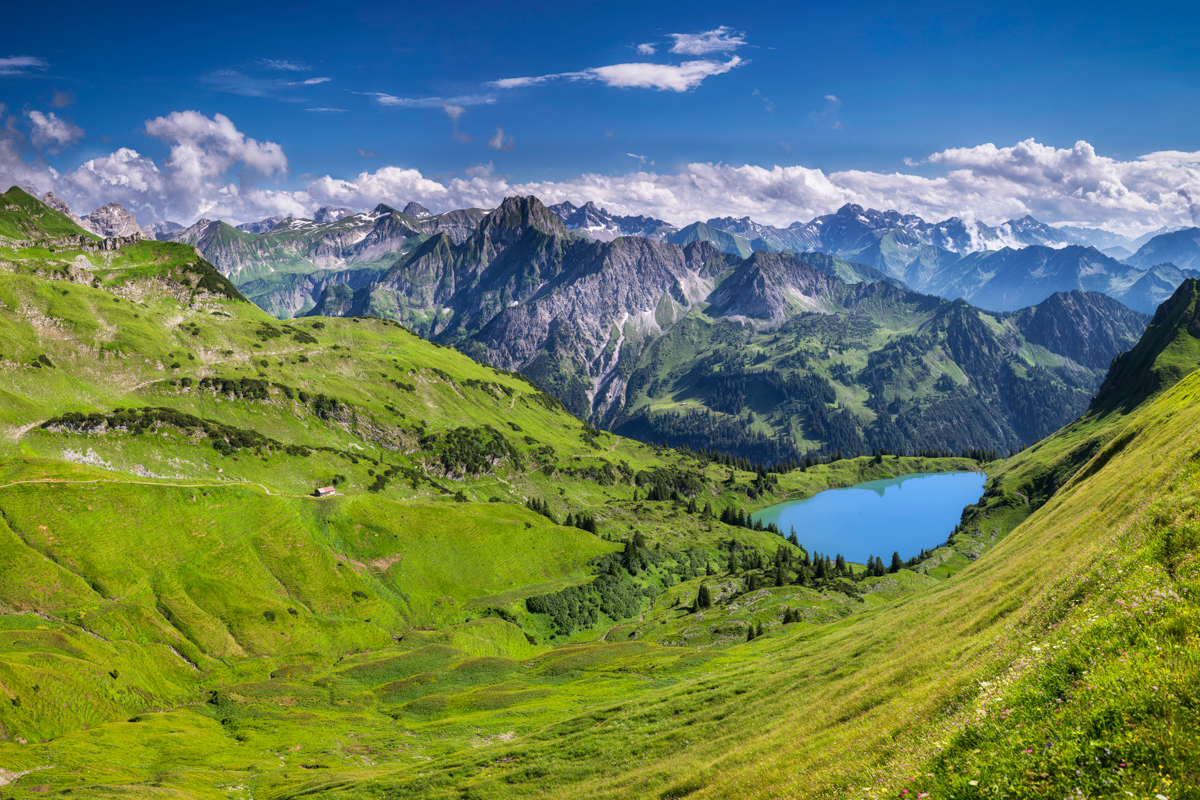 Seealpsee, Sommerpanorama mit Höfats und Nebelhorn, Grüne Almwiesen - Landschaftsfotografie Allgäu