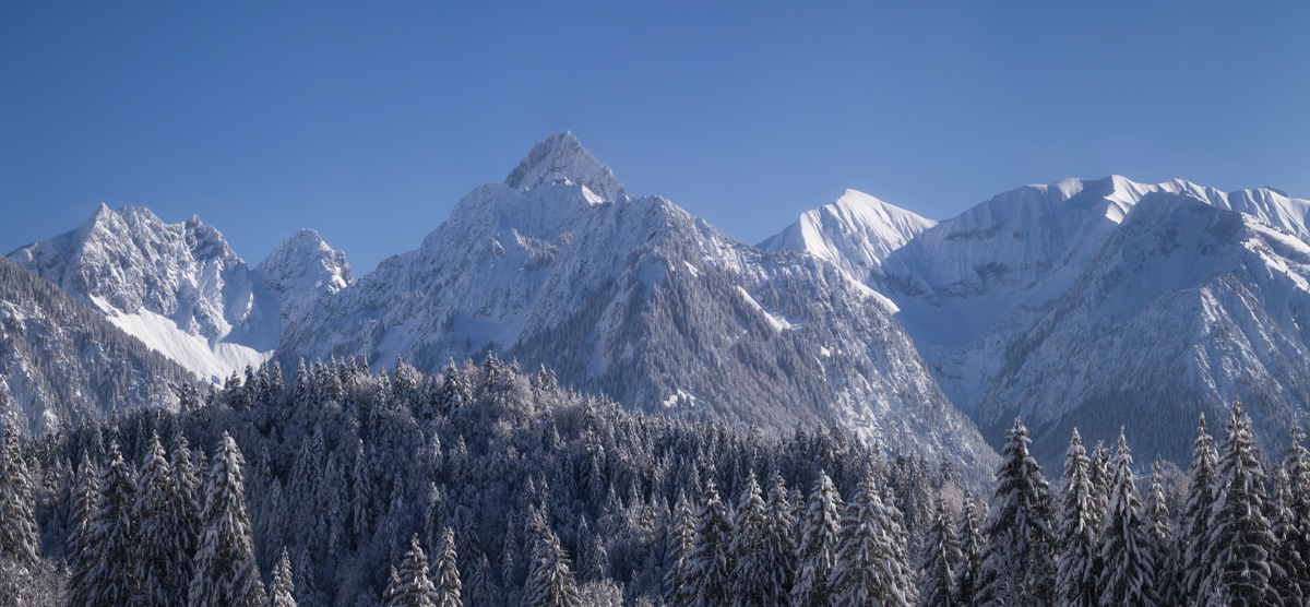 Himmelschrofen und Höfats im sonnigen Winterkleid, Verschneite Gipfel mit Nadelwald bei Oberstdorf, Winterbergpanorama