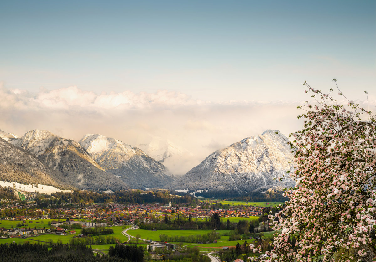 Jägersberg | Oberstdorf-Panorama | Frühlingsblüte | Verschneite Alpen - Landschaftsfotografie Allgäu