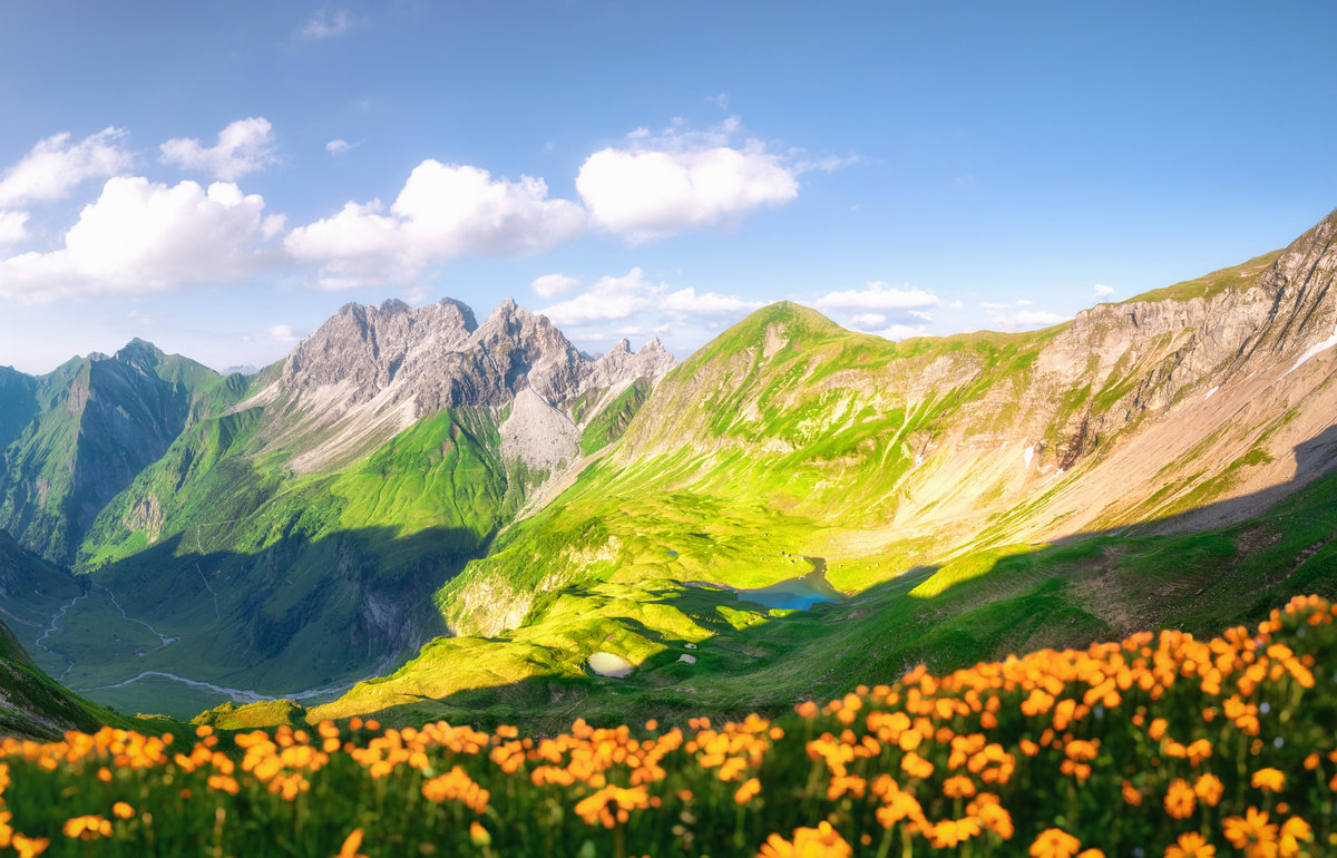 Eissee | Oytal | Bergblumen | Sommerpanorama - Landschaftsfotografie Allgäu
