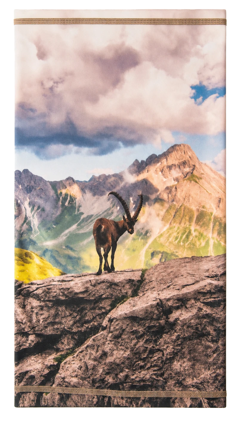 3 Steinböcke Loop, Vorderseite