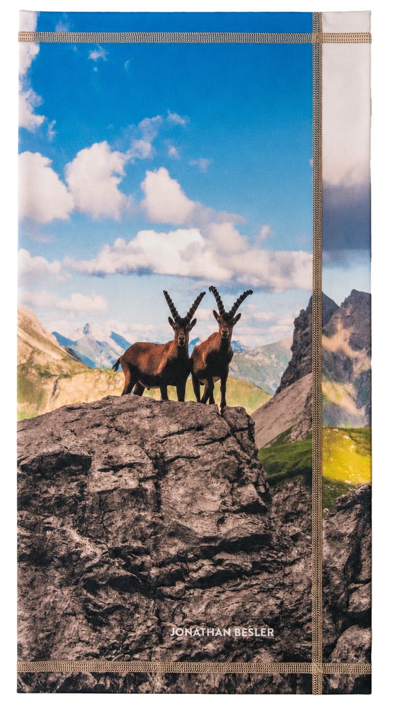 3 Steinböcke Loop, Rückseite