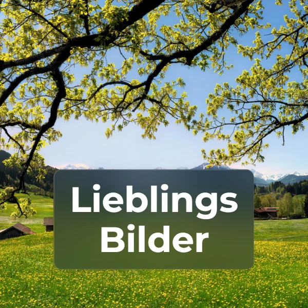 Kategorie Lieblingsbilder
