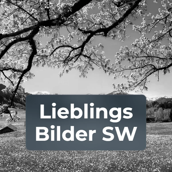 Kategorie Lieblingsbilder in Schwarz-Weiß
