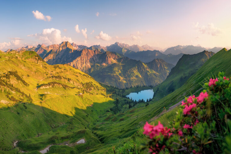 Alpenrosen über einem Bergsee im Abendlicht