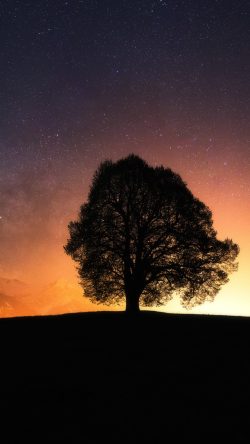 12_8847n-hintergrundbilder-hintergrundbild-fotos-4k-UHD-full-hd-apple-ios-pc-iphone-smartphone-android