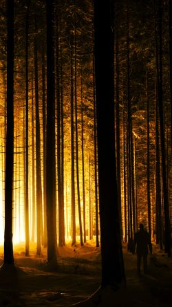 15_9488p-hintergrundbilder-hintergrundbild-fotos-4k-UHD-full-hd-apple-ios-pc-iphone-smartphone-android