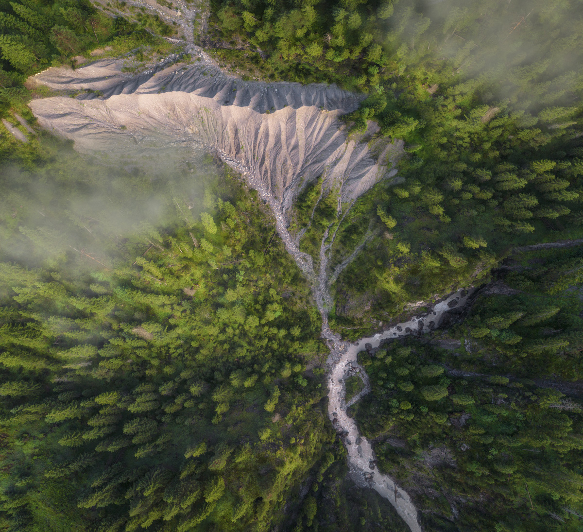 Panorama Allgäu Alpen Berge Oberallgäu Bäume Wald grün sommer