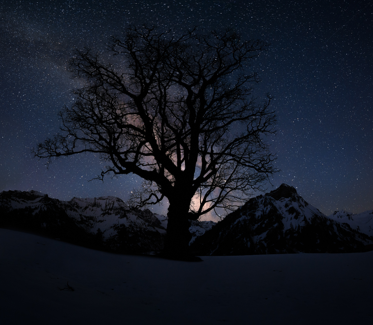 sternenbild sterne Nacht Sternenhimmel Alpen Berge Winter Schnee verschneit schwarzenberg nacht milchstraße sterne baum giebel schwarz blau hinterstein hindelang