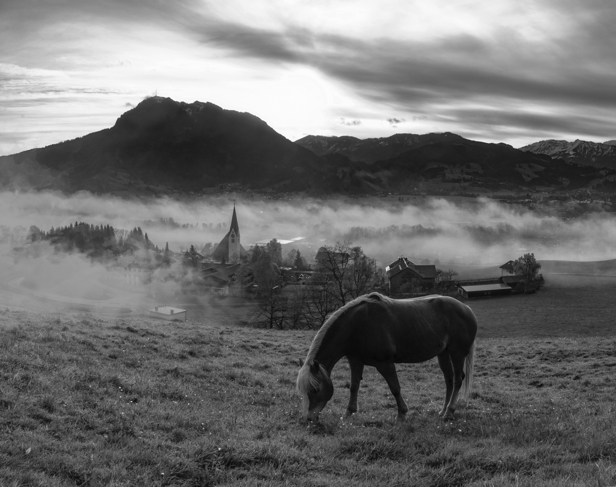 leinwand schwarz weiß wandbilder foto kaufen Allgäu Alpen Berge Seifriedsberg Pferd Sonnenaufgang Oberallgäu herbst sonne