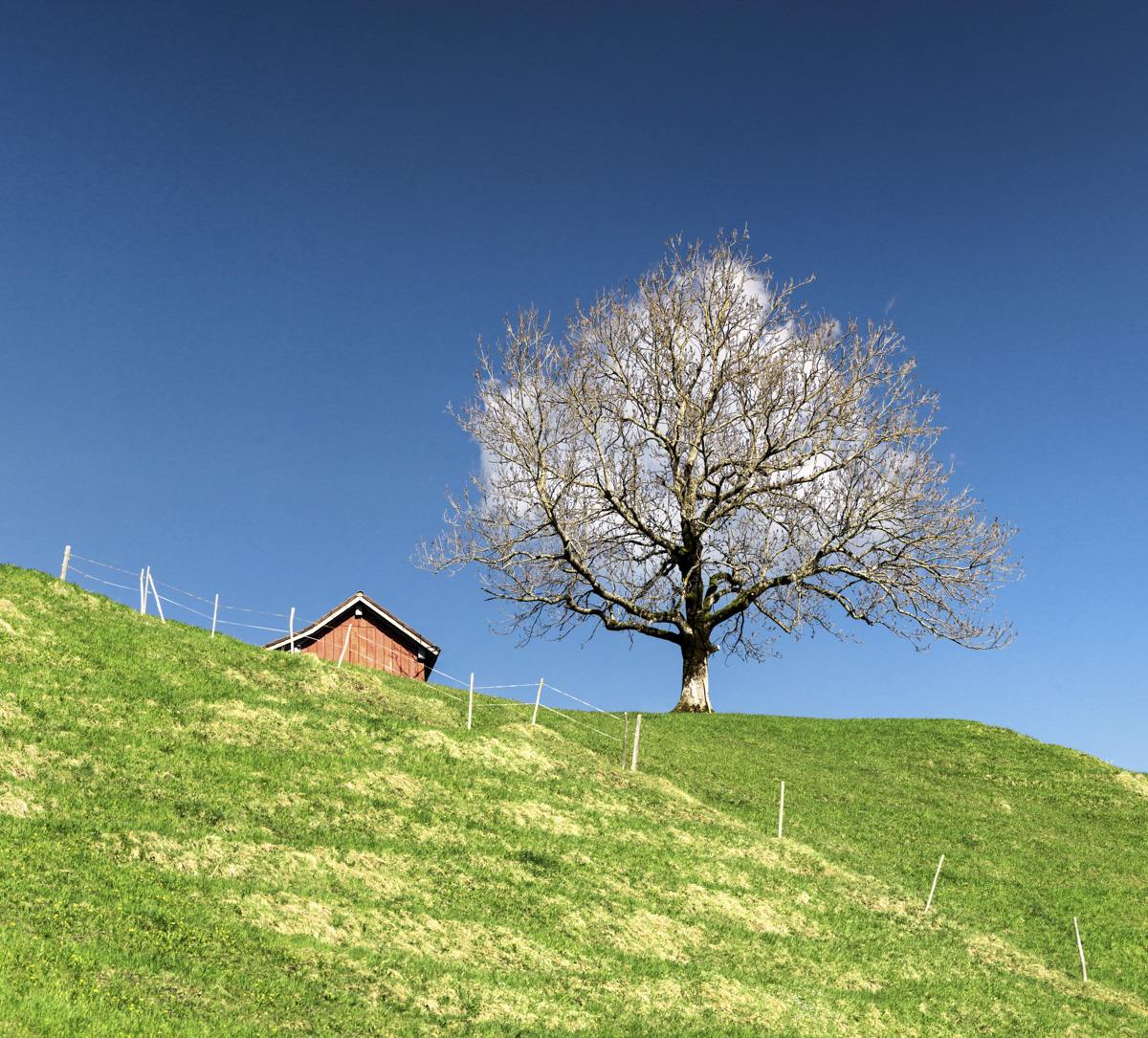 landschaftsbild Allgäu Alpen Berge Hindelang Sommer Wolke Baum Oberallgäu grüne wiesen blauer himmel sonne