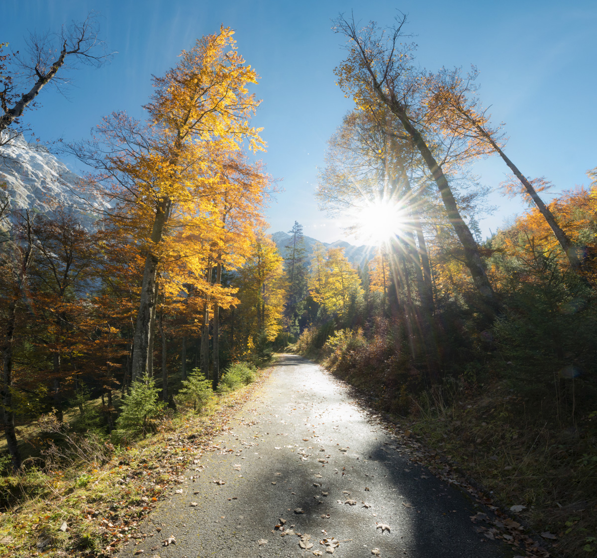 Panorama Allgäu Alpen Berge Hinterstein Herbst Herbstfarben Laub goldener Herbst Indian Summer Oberallgäu orange blauer himmel sonne