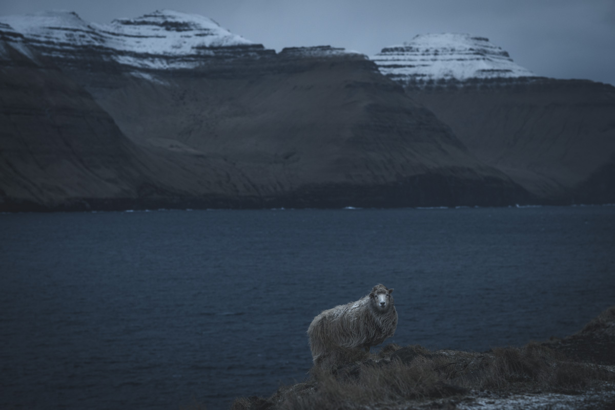 Färöer Faroe Islands