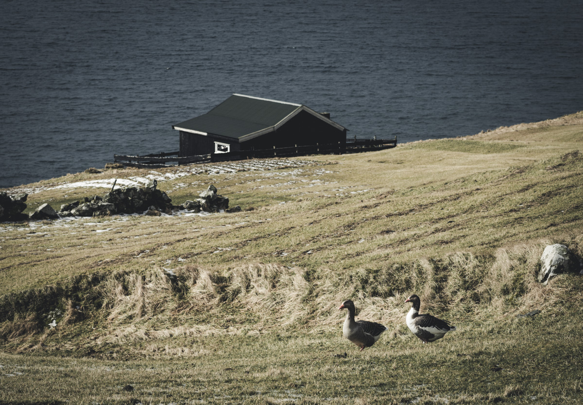 Färöer Faroe Islands