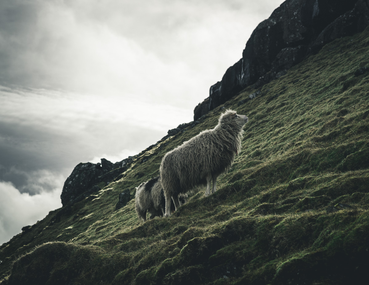 Färöer Faroe Islands
