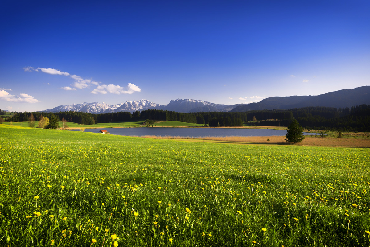 Panorama Allgäu Alpen Berge OstAllgäu Pfronten Nesselwang Attlesee Frühling Spring grüne wiesen blauer himmel sonne
