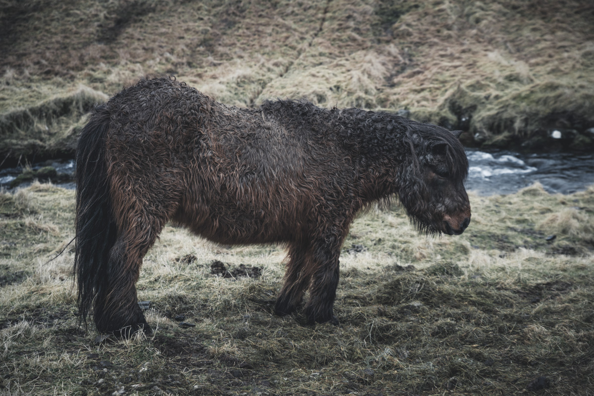 Färöer Faroe Islands