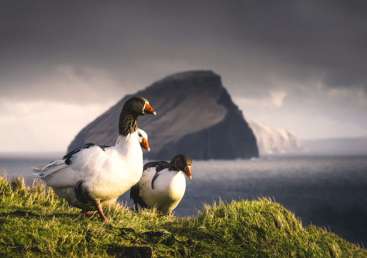 Färöer Faroe Islands