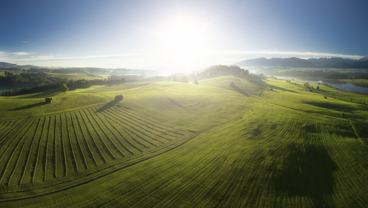 landschaftsbild Allgäu Alpen Berge OstAllgäu Forggensee Hopfensee Frühling Spring grüne wiesen blauer himmel sonne