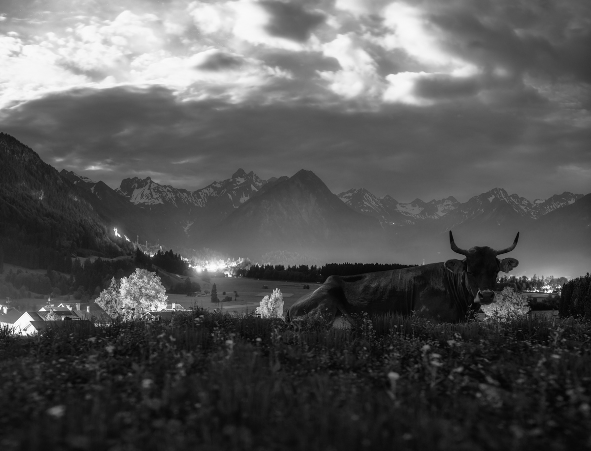 sternenbild sterne Nacht Sternenhimmel Alpen Berge Kuh Braunvieh Vieh Rind Rinder Kühe Viehscheid Alp Alm Abtrieb Bergsommer Nacht Vollmond Rubi Oberstdorf Orange Oberallgäu
