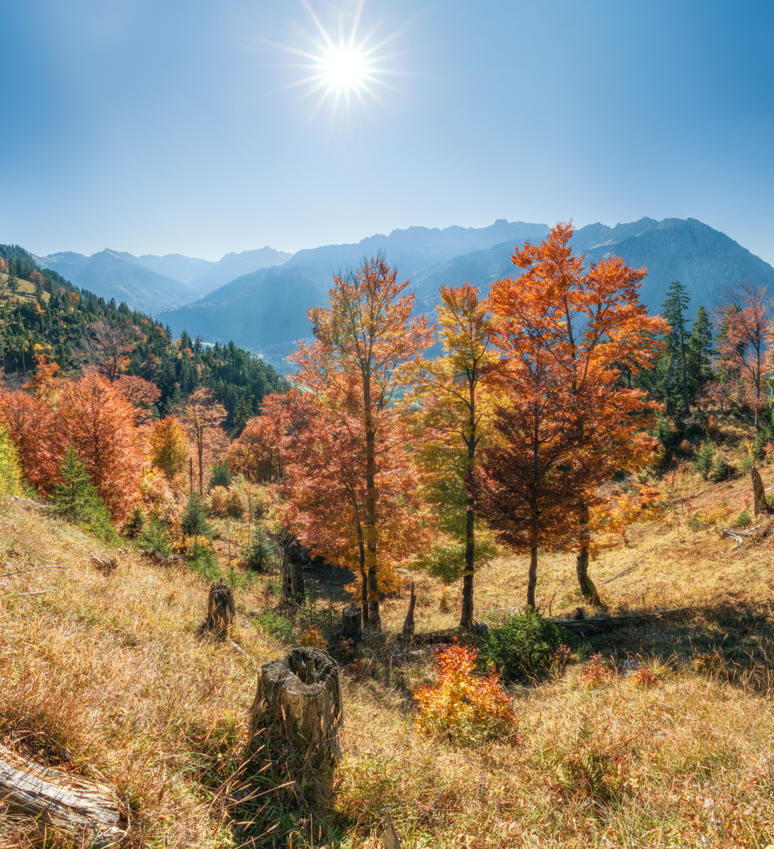 284 Herbst Allgäu blau Bad Hindelang Hinterstein