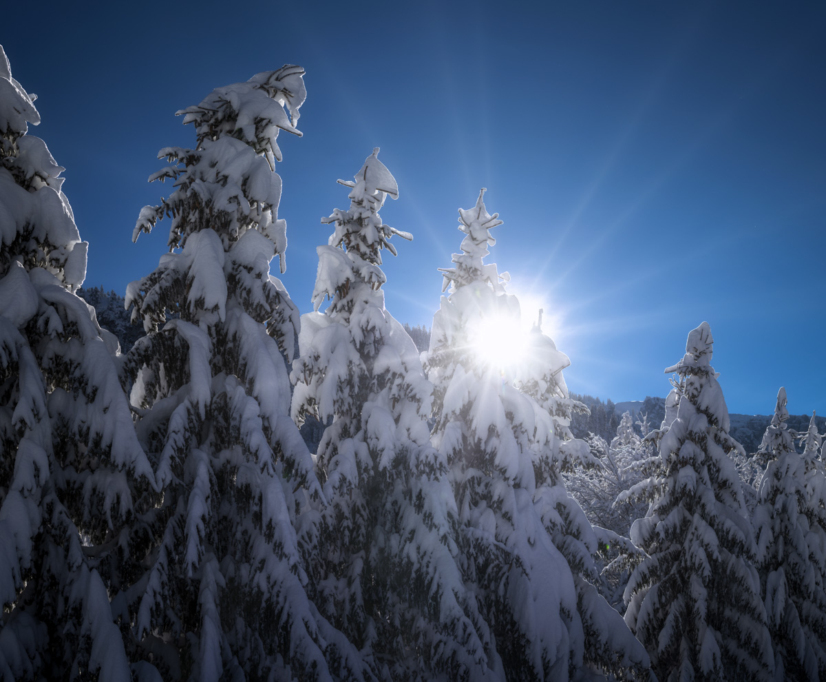 Panorama Allgäu Alpen Berge Winter Schnee verschneit Weihnachten Rohrmoos Tiefenbach Oberstdorf Baum Bäume Oberallgäu weiß blauer himmel sonne