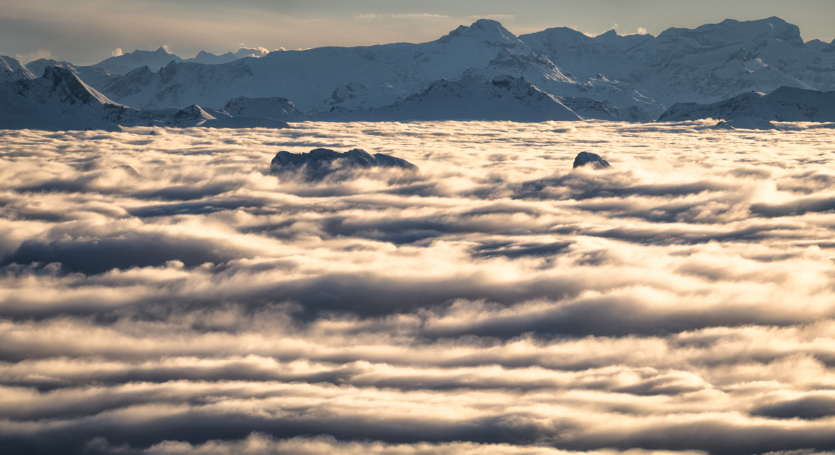 Panorama Schweiz Alpenglühen Sonnenuntergang Nebelmeer Bergspitzen Kurfürsten Nebel Licht Sonne Schnee Winter verschneit St Gallen orange rot blau sonne